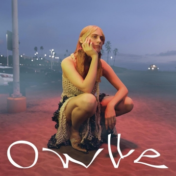 OWLLE EN DE PINO