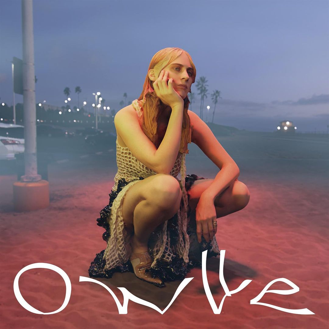 OWLLE IN DE PINO De Pino AutrementPR